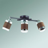 Люстра LUMION COMFI 3030/3CA