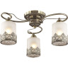 Люстра LUMION COMFI 3070/3C