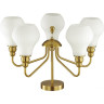 Люстра LUMION MODERNI 4562/5C