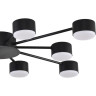 Люстра LUMION TORINA 8344/10C