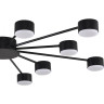 Люстра LUMION TORINA 8344/12C