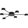 Люстра LUMION TORINA 8344/6C