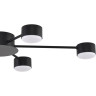 Люстра LUMION TORINA 8344/6C