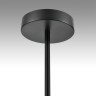 Люстра LUMION TORINA 8117/12 COMFI LN25 LED GX53 12*7W 220V черный, металл
