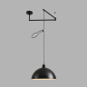 Люстра подвесная LUMION ARMINA 8321/1C