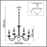 Люстра подвесная LUMION INCANTO 8034/10 CLASSI LN25 Е14 10*40W 220V хром, металл/стекло