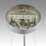 Люстра подвесная LUMION LIBERTI 6588/6 MODERNI LN24 E14 6*40W 220V хром/тонированное стекло, металл/стекло