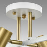 Люстра потолочная LUMION ANRIYA 8045/6C MODERNI LN24 Е14 6*40W 220V белый, латунь/белый металл/металл