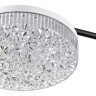 Люстра потолочная LUMION DIDANA 8236/4CL LEDIO LN25 000 с пультом ДУ LED 55W 3000-6000К 220V черный, металл/акрил