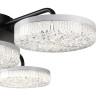 Люстра потолочная LUMION DIDANA 8236/4CL LEDIO LN25 000 с пультом ДУ LED 55W 3000-6000К 220V черный, металл/акрил