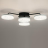 Люстра потолочная LUMION DIDANA 8236/4CL LEDIO LN25 000 с пультом ДУ LED 55W 3000-6000К 220V черный, металл/акрил