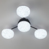 Люстра потолочная LUMION DIDANA 8236/4CL LEDIO LN25 000 с пультом ДУ LED 55W 3000-6000К 220V черный, металл/акрил