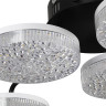 Люстра потолочная LUMION DIDANA 8236/6CL LEDIO LN25 000 с пультом ДУ LED 85W 3000-6000К 220V черный, металл/акрил