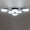 Люстра потолочная LUMION DIDANA 8236/6CL LEDIO LN25 000 с пультом ДУ LED 85W 3000-6000К 220V черный, металл/акрил
