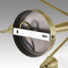 Люстра потолочная LUMION DOLIANA 6584/8C MODERNI LN24 E14 8*40W 220V бронза/прозрачный, металл/стекло
