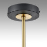 Люстра потолочная LUMION LANIKA 8240/8C COMFI LN25 LED GX53 8*7W 220V черный/латунь, металл/акрил