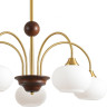 Люстра потолочная LUMION LARINA 8323/5C