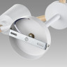 Люстра потолочная LUMION ROSALINA 8097/6C MODERNI LN25 269 Е27 6*60W 220V белый/белый металл, дерево/металл