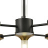 Люстра потолочная LUMION TAMARESA 8112/18 NEOCLASSI LN25 G9 18*30W 220V черный/бронза/прозрачный, металл/стекло