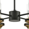 Люстра потолочная LUMION TAMARESA 8112/24 NEOCLASSI LN25 G9 24*30W 220V черный/бронза/прозрачный, металл/стекло