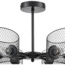 Люстра потолочная LUMION TIDINA COUNTY LN25 8238/6C Е27 6*60W 220V черный, металл