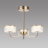 Люстра потолочная LUMION VENICE 6579/40CL LEDIO LN24 LED 40W 220V золото/прозрачный/металл/пластик