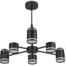 Люстра потолочная LUMION VIRSAVA 8234/6C COMFI LN25 000 LED GX53 6*10W + LED-проектор 3*5W 2700К 220V черный, металл/акрил