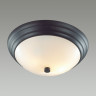Настенно-потолочный светильник LUMION VINTAGE KAYLA 5263/2C