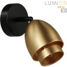 Настенный светильник LUMION AVRORA 8001/1W MODERNI LN24 Е14 40W 220V черный/античное золото металл/металл