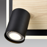 Настенный светильник LUMION PINE 8025/19WL