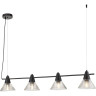 Подвес LUMION CORNE 6595/4A MODERNI LN24 E27 4*60W 220V черный/прозрачный, металл/стекло