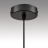 Подвес LUMION NATALINA 8232/1 COMFI LN25 193 LED GX70 1*10W 220V черный/прозрачный, металл/стекло