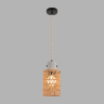 Подвесной светильник LUMION BOHO 8366/1A