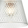 Подвесной светильник LUMION MANOLA 8049/1А SUSPENTIONI LN24 E27 1*60W 220V хром/прозрачный металл/стекло
