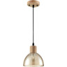 Подвесной светильник LUMION NATANA 8054/1А SUSPENTIONI LN24 E27 1*60W 220V дерево/амбер металл/стекло