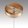 Подвесной светильник LUMION RIMINI 8083/1A LEDIO LN25 320 LED 1*3W 220V золото/прозрачный, металл/акрил