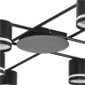 Потолочная люстра LUMION BERTY 8362/8C
