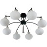 Потолочная люстра LUMION GLORIYA 8273/8C