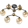Потолочная люстра LUMION LANDA 8249/6C