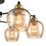 Потолочная люстра LUMION LANDA 8249/6C