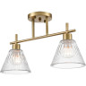 Потолочная люстра LUMION VIVIAN COMFI LN25 8188/2C E14 2*40W 220V латунь/прозрачный, металл/стекло