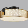 Потолочный светильник LUMION DRUMY 6597/40L LEDIO LN24 LED 40W 4000К 220V черный, античная латунь/античная латунь металл/металл, стекло