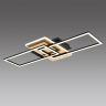 Потолочный светильник LUMION GOLDY 8021/90CL LEDIO LN24 с пультом ДУ LED 90W 220V 3000-6500Кчерный/золотой/черный, металл/акрил