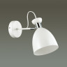 Светильник LUMION MODERNI 3734/1W