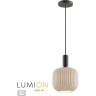 Светильник LUMION SUSPENTIONI 4452/1
