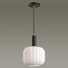 Светильник LUMION SUSPENTIONI 4462/1